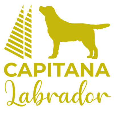 of House Capitana Lab
